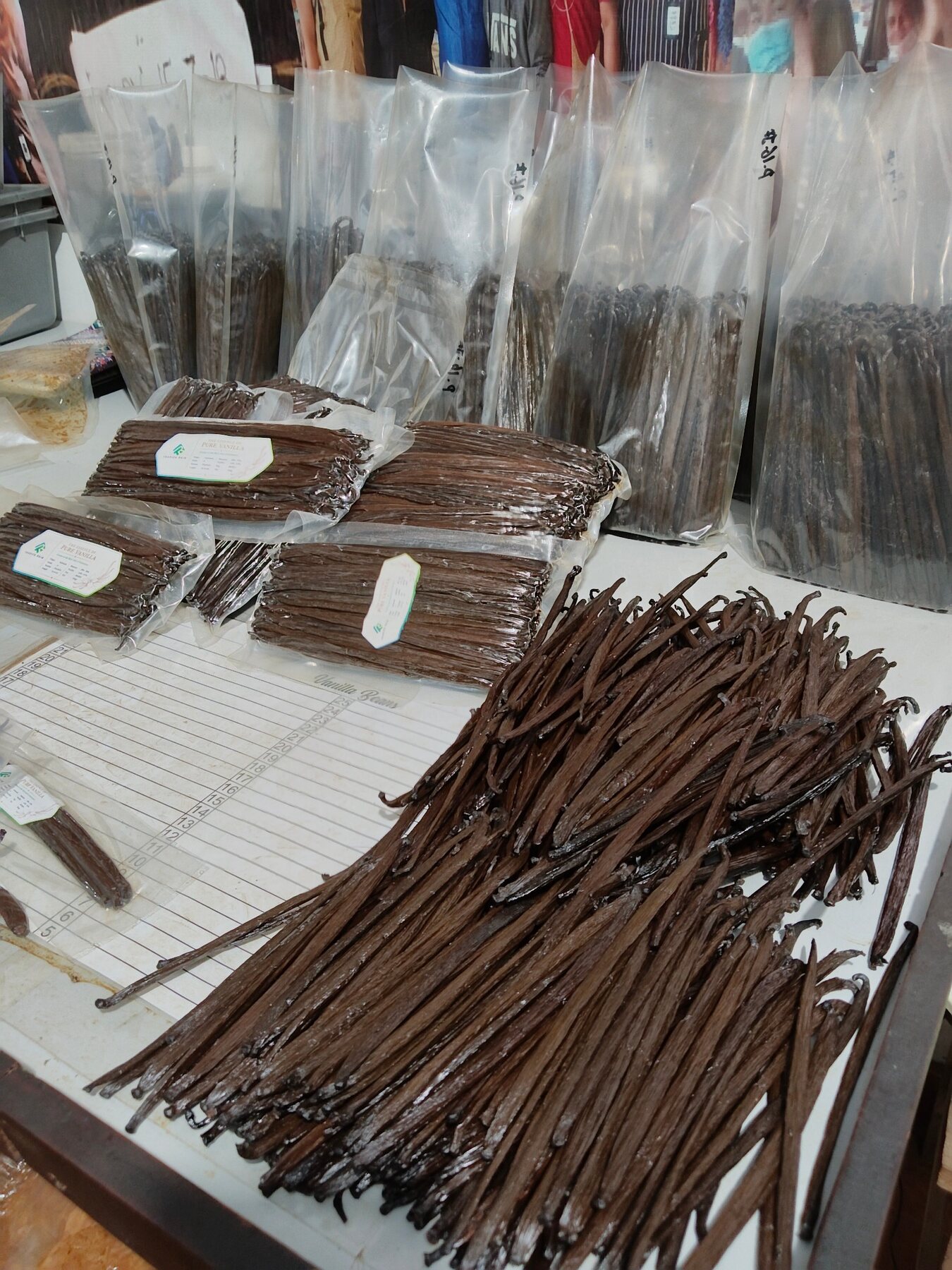 Selected vanilla beans for quality review