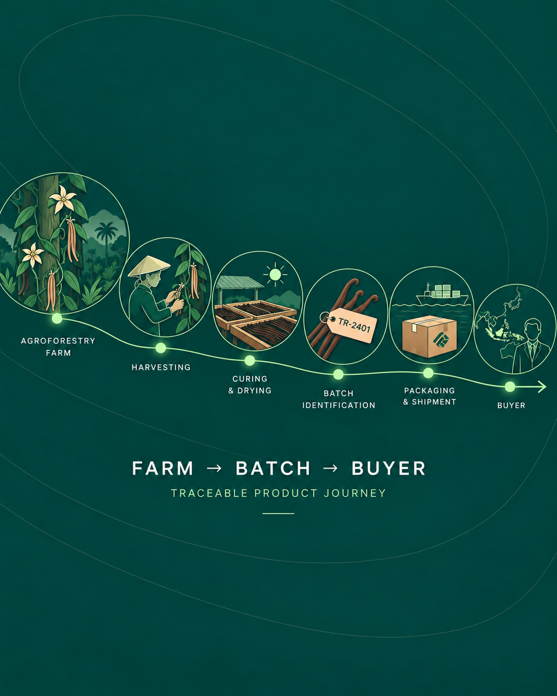 Traceable vanilla product journey from agroforestry farm, harvesting, curing and drying, batch identification, packaging and shipment, to the buyer